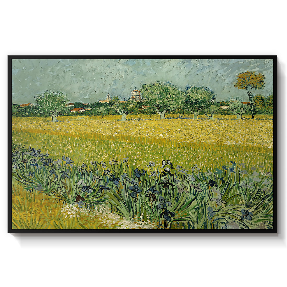 Field with Irises near Arles, 1888 - Floater Framed Canvas Print