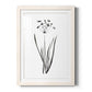 Inky Botanical II - Barnwood Framed Art Print