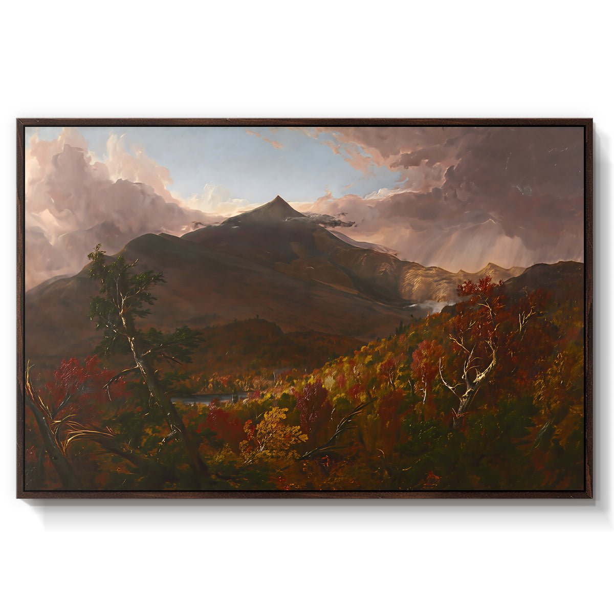 View of Schroon Mountain, Essex County, New York, After a Storm, 1838 - Floater Framed Canvas Print