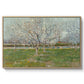Orchard in Blossom (Plum Trees), 1888 - Floater Framed Canvas Print