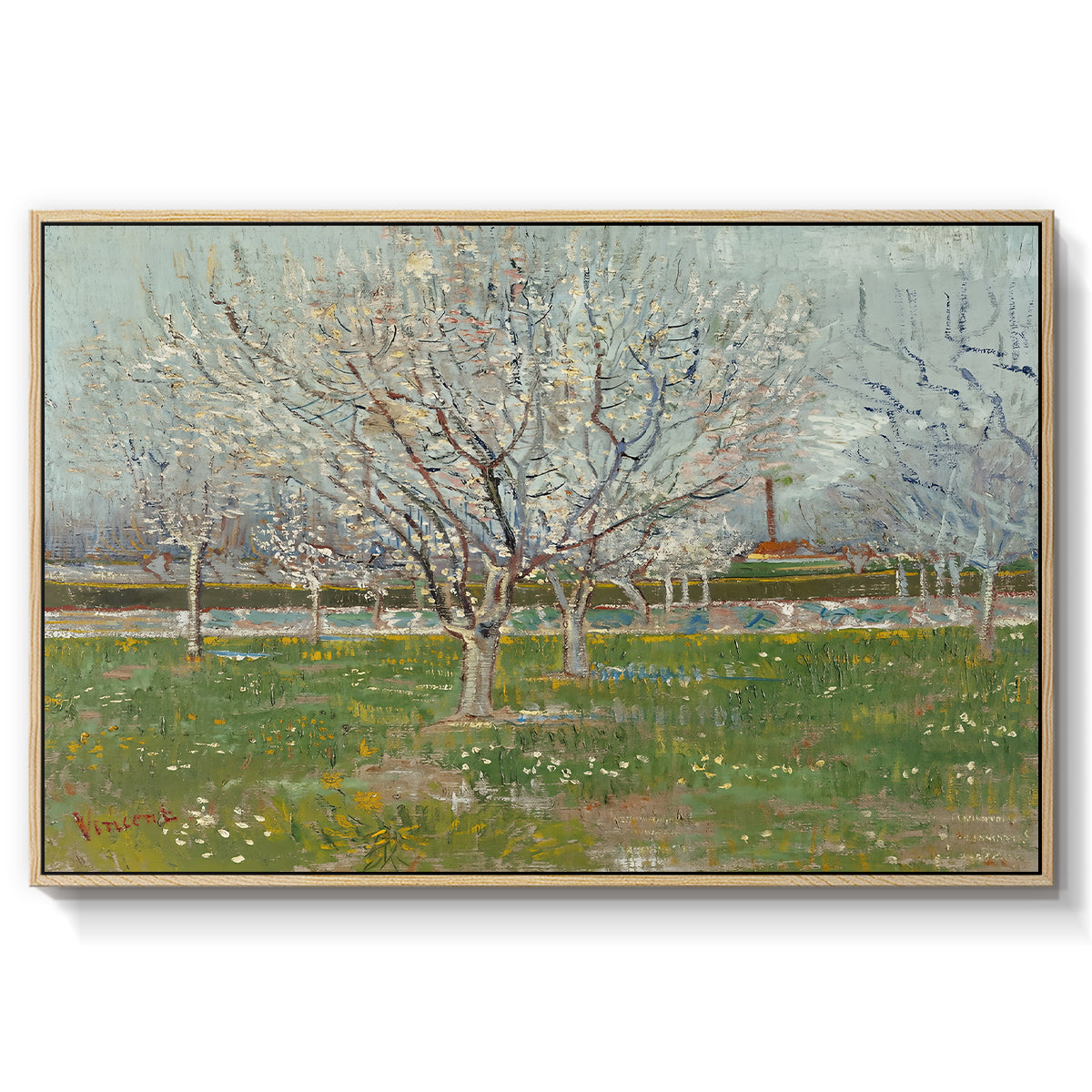 Orchard in Blossom (Plum Trees), 1888 - Floater Framed Canvas Print