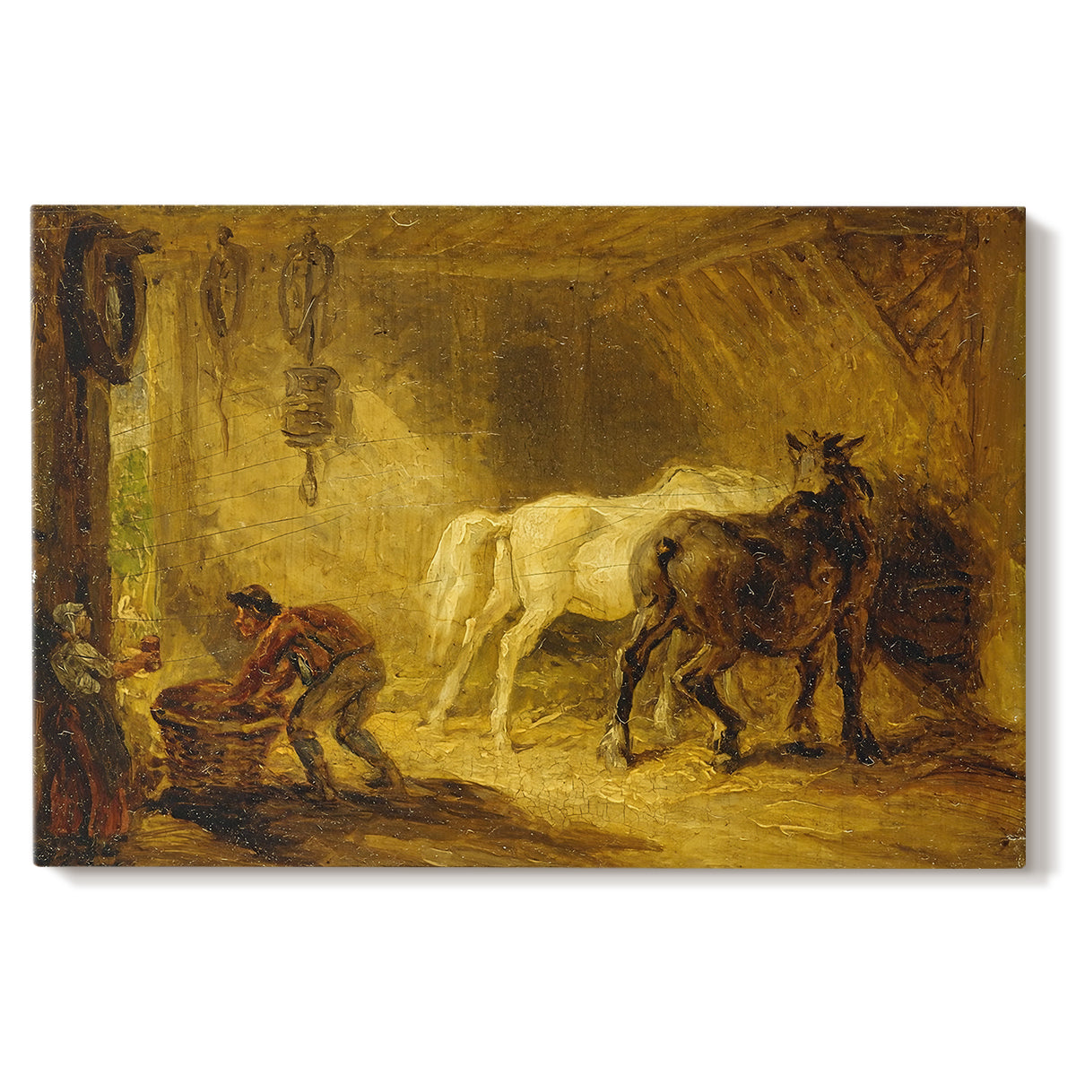 Canvas art print portraying an ewe with lambs resting together in open countryside, set against a white background