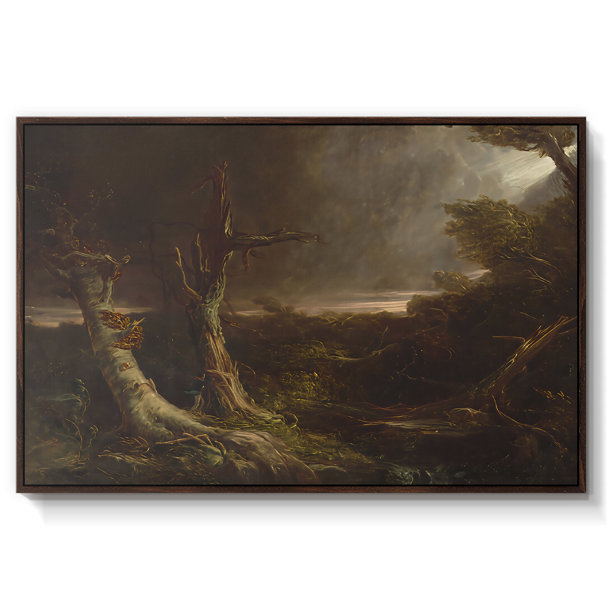 Tornado in an American Forest, 1835 - Floater Framed Canvas Print