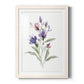 Color Variety IV - Barnwood Framed Art Print
