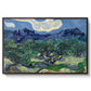 Olive Trees with the Alpilles in the Background, 1889 - Floater Framed Canvas Print
