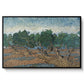 Olive Trees, 1889 - Floater Framed Canvas Print