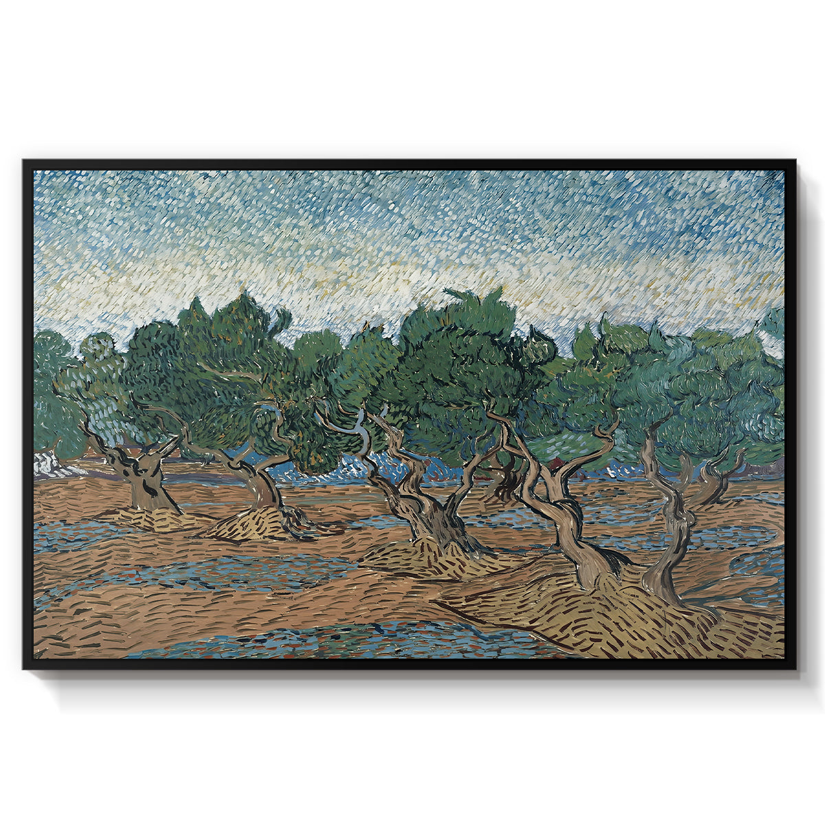 Olive Trees, 1889 - Floater Framed Canvas Print