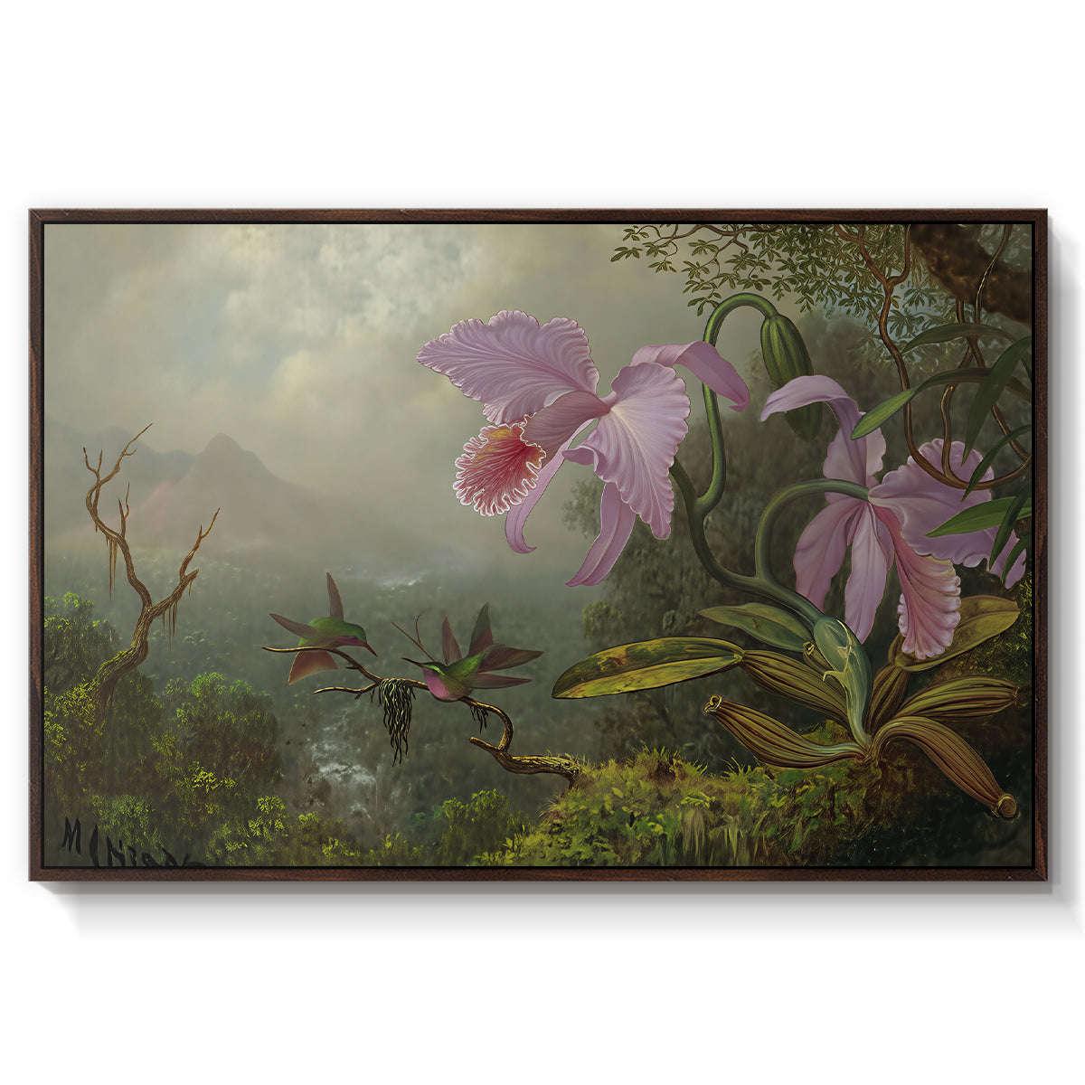 Two Sun Angel Hummingbirds on a Branch, c. 1890-1904 - Floater Framed Canvas Print