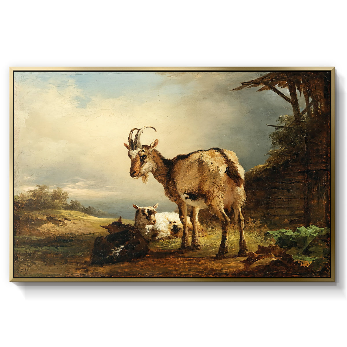 A Goat with Two Kids - Floater Framed Canvas Print