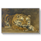 Study of a Tiger for Circe, 1885 - Floater Framed Canvas Print