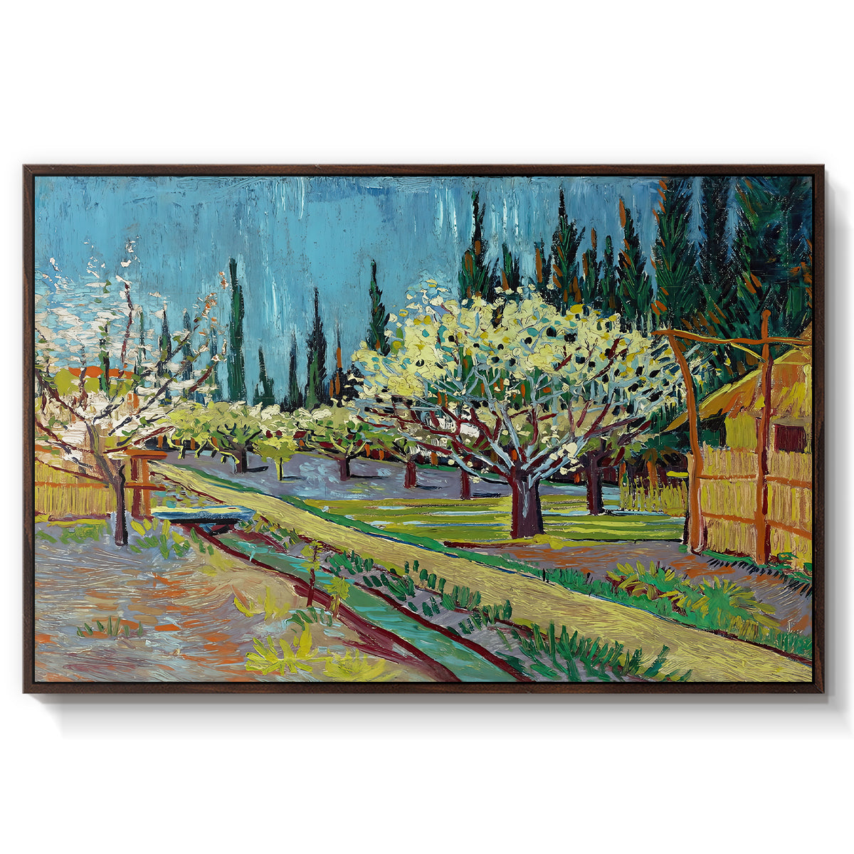 Orchard in Blossom, Bordered by Cypresses, 1888 - Floater Framed Canvas Print