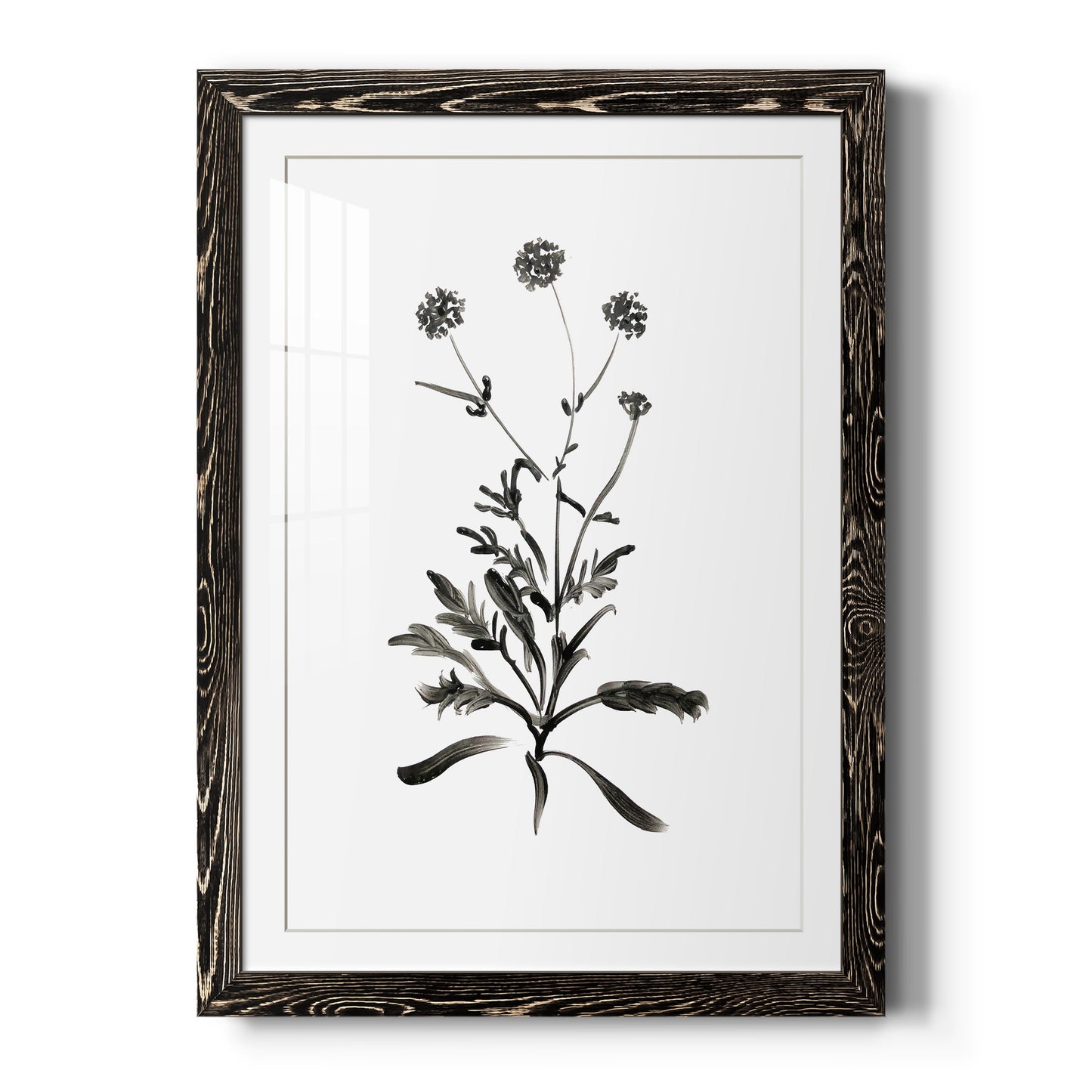 Inky Botanical I - Premium Framed Print - Distressed Barnwood Frame - Ready to Hang