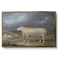 A Border Leicester Ewe, c. 1795-1800 - Floater Framed Canvas Print