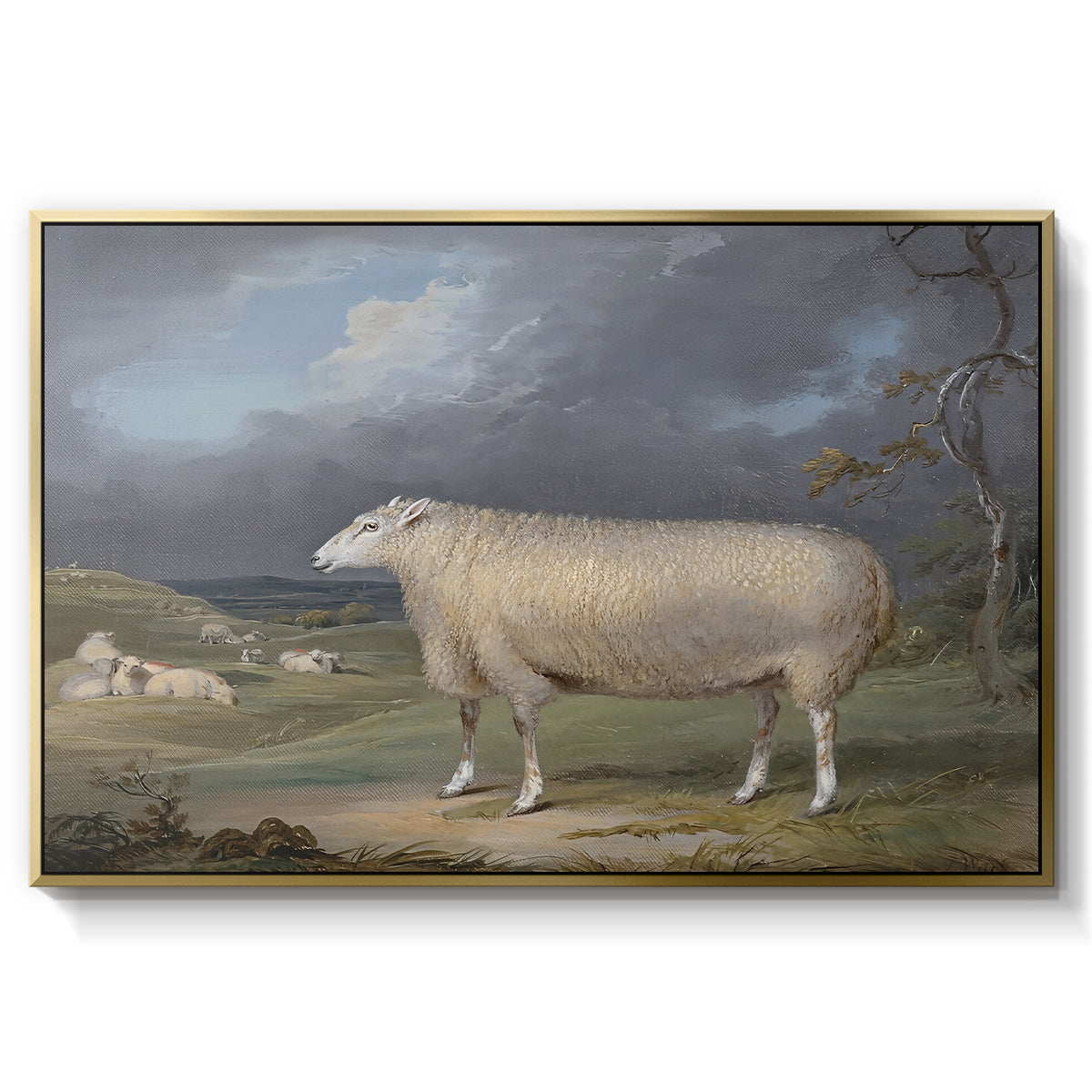 A Border Leicester Ewe, c. 1795-1800 - Floater Framed Canvas Print