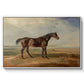 Dr. Syntax, a Bay Racehorse, Standing in a Coastal Landscape, an Estuary Beyond, c. 1820 - Floater Framed Canvas Print
