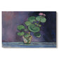 Canvas art print portraying a potted geranium with green leaves and blossoms against a dark background, set against a white background