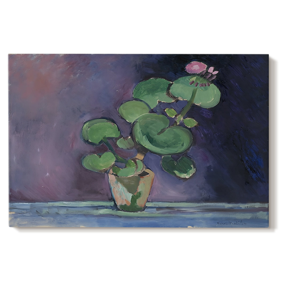 Canvas art print portraying a potted geranium with green leaves and blossoms against a dark background, set against a white background