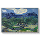 Olive Trees with the Alpilles in the Background, 1889 - Floater Framed Canvas Print