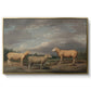Ryelands Sheep, the King's Ram, the King's Ewe and Lord Somerville's Wether, c. 1801-1807 - Floater Framed Canvas Print