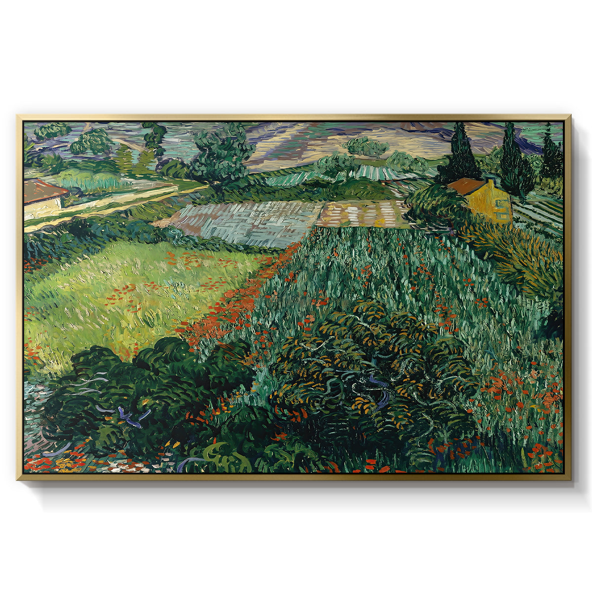 Field with Poppies, Saint-Rémy, 1889 - Floater Framed Canvas Print