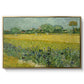 Field with Irises near Arles, 1888 - Floater Framed Canvas Print