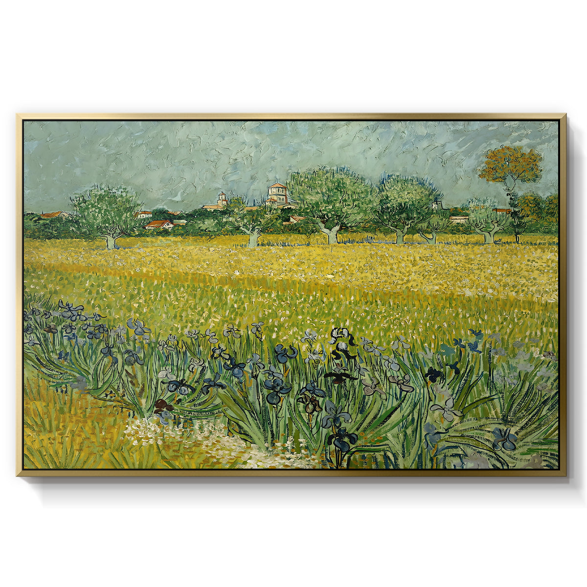 Field with Irises near Arles, 1888 - Floater Framed Canvas Print