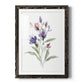 Color Variety IV - Barnwood Framed Art Print
