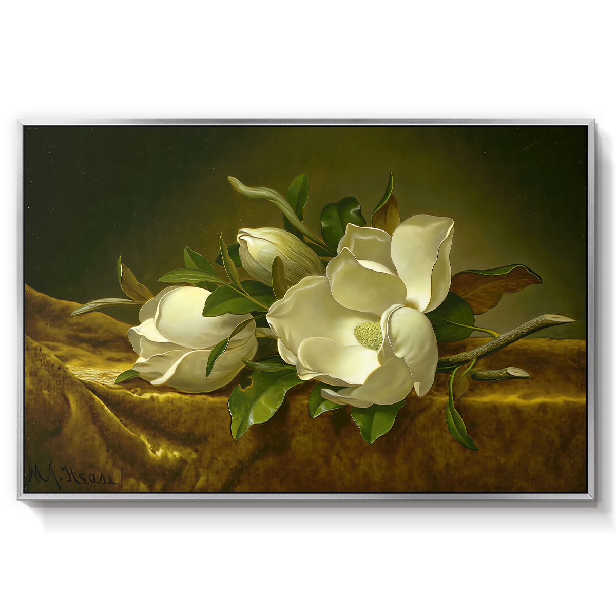 Magnolias on Gold Velvet Cloth, c. 1888-1890 - Floater Framed Canvas Print