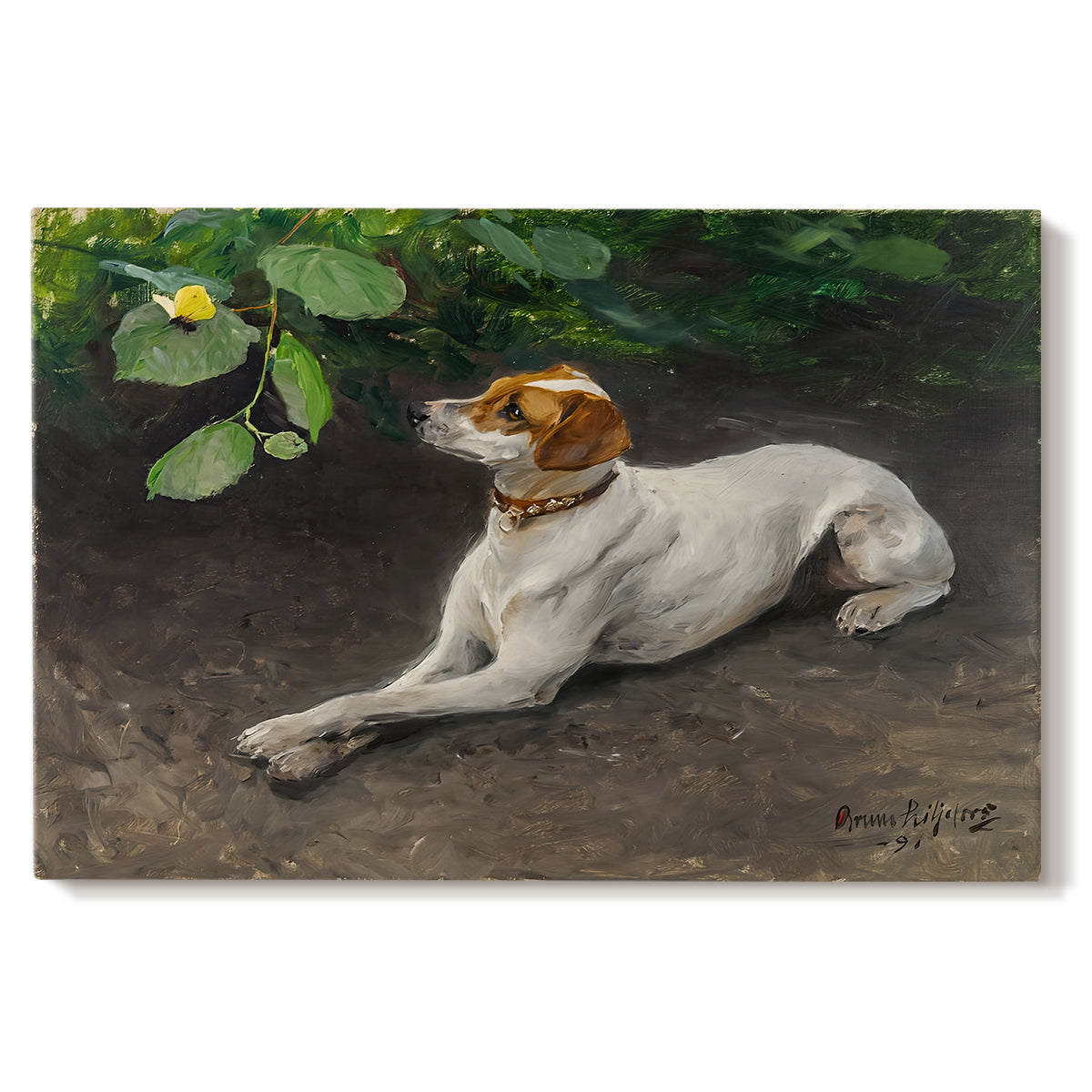 Canvas art print portraying a dog lying on ground with head raised in natural outdoor setting, set against a white background