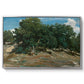 Fontainebleau: Oak Trees at Bas-Bréau, c. 1830-1835 - Floater Framed Canvas Print