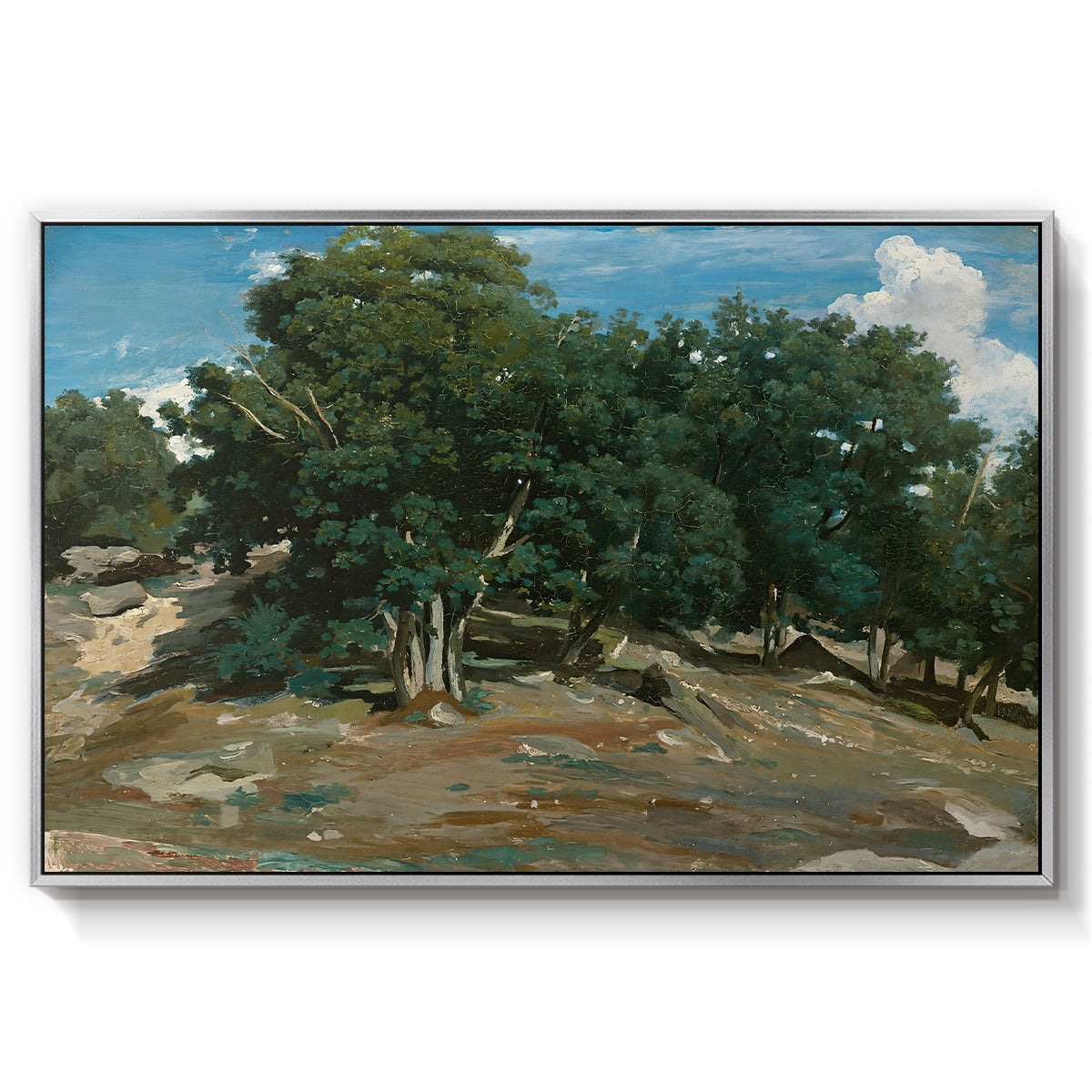 Fontainebleau: Oak Trees at Bas-Bréau, c. 1830-1835 - Floater Framed Canvas Print