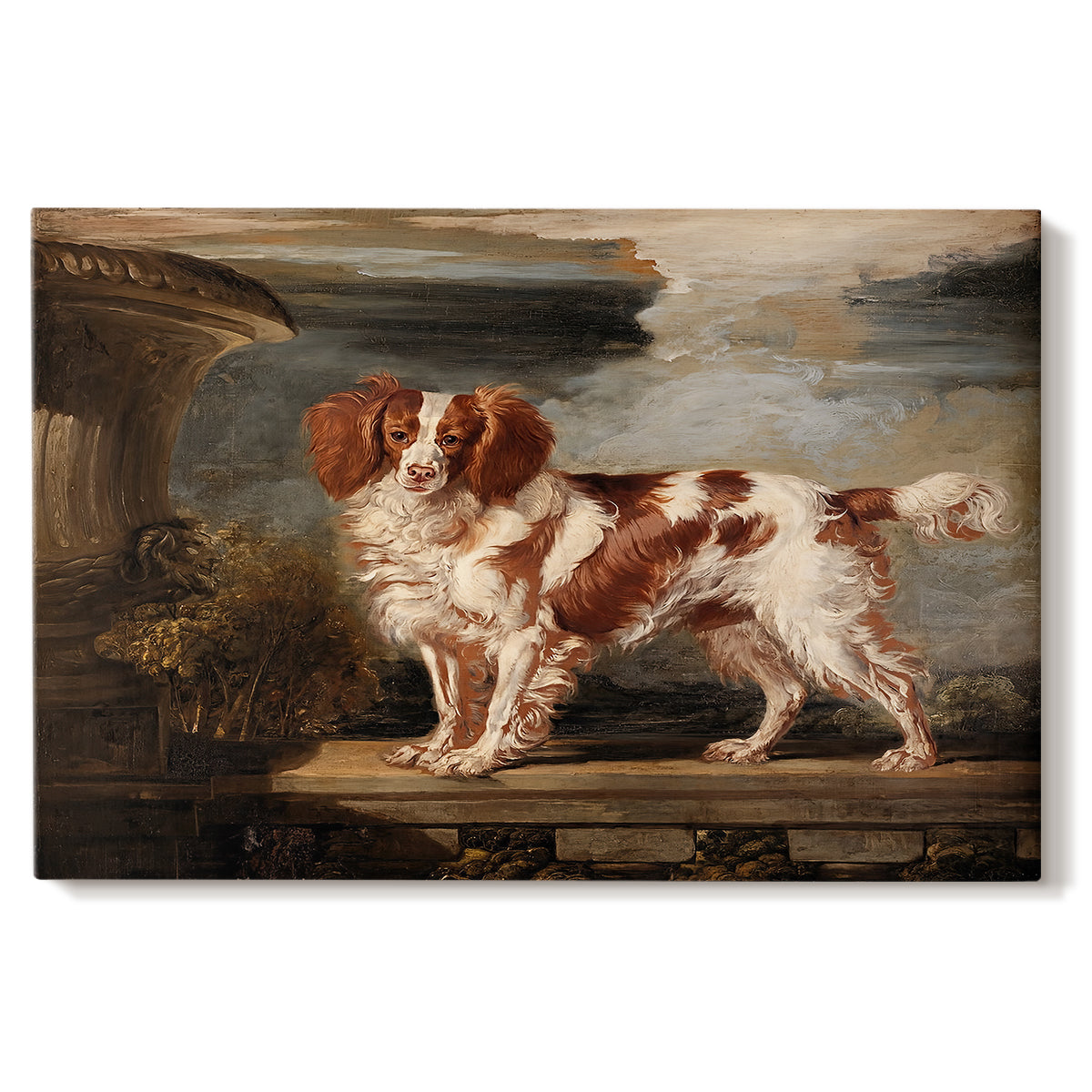 Canvas art print portraying a spaniel dog resting in landscape with attentive expression, set against a white background
