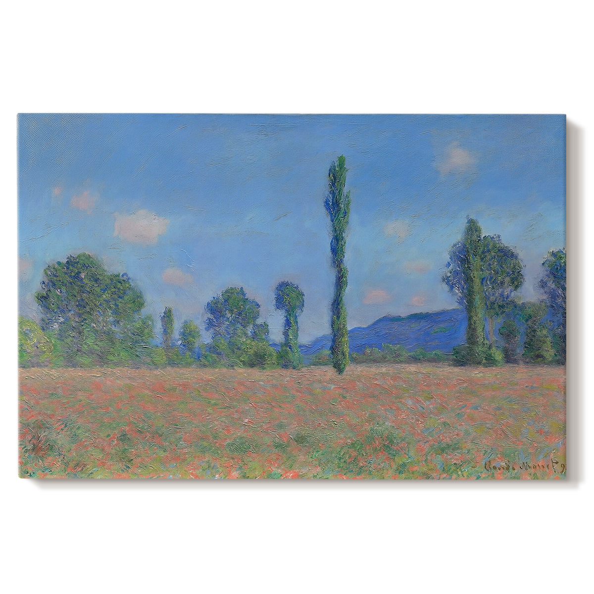 Canvas art print portraying an expansive field of red poppies with tall trees under blue sky, set against a white background