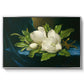 Giant Magnolias on a Blue Velvet Cloth, c. 1890 - Floater Framed Canvas Print