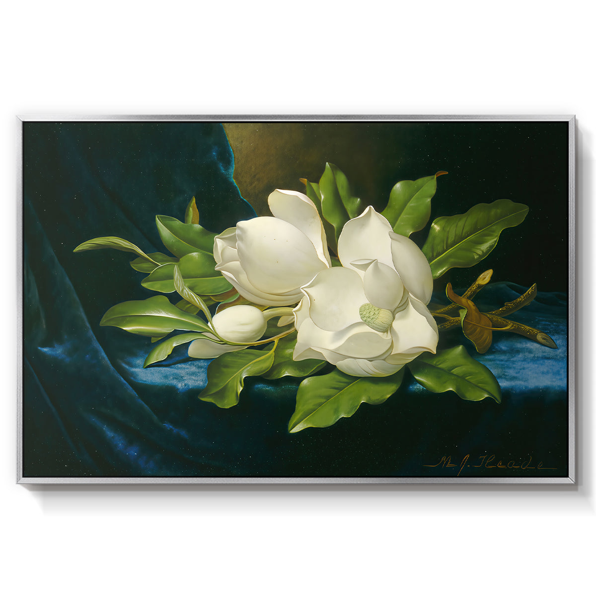 Giant Magnolias on a Blue Velvet Cloth, c. 1890 - Floater Framed Canvas Print