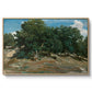 Fontainebleau: Oak Trees at Bas-Bréau, c. 1830-1835 - Floater Framed Canvas Print