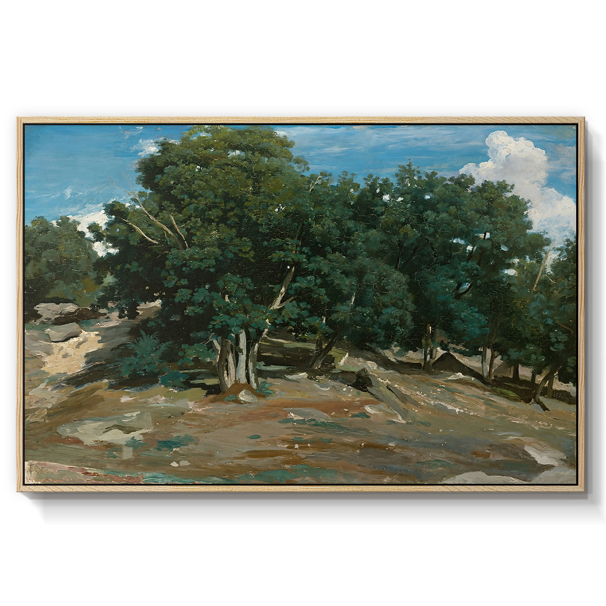 Fontainebleau: Oak Trees at Bas-Bréau, c. 1830-1835 - Floater Framed Canvas Print