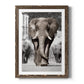 Botswana Patriarch - Premium Framed Print - Distressed Barnwood Frame - Ready to Hang