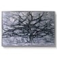 The Gray Tree, 1911 - Floater Framed Canvas Print