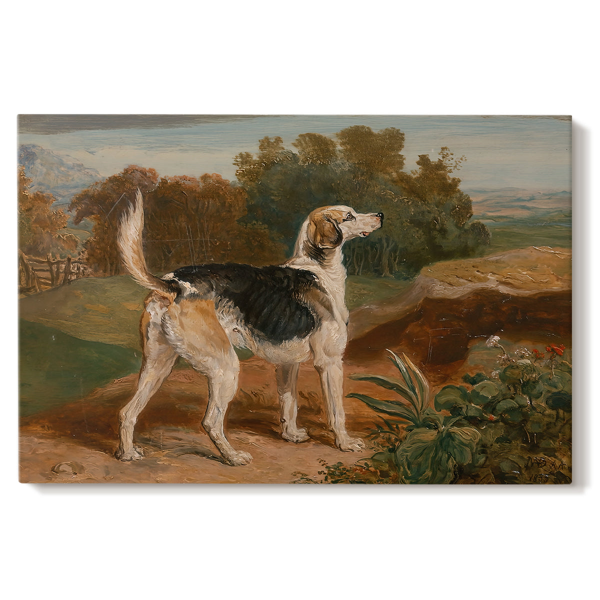 Canvas art print portraying a hunting hound standing in landscape with focused posture, set against a white background