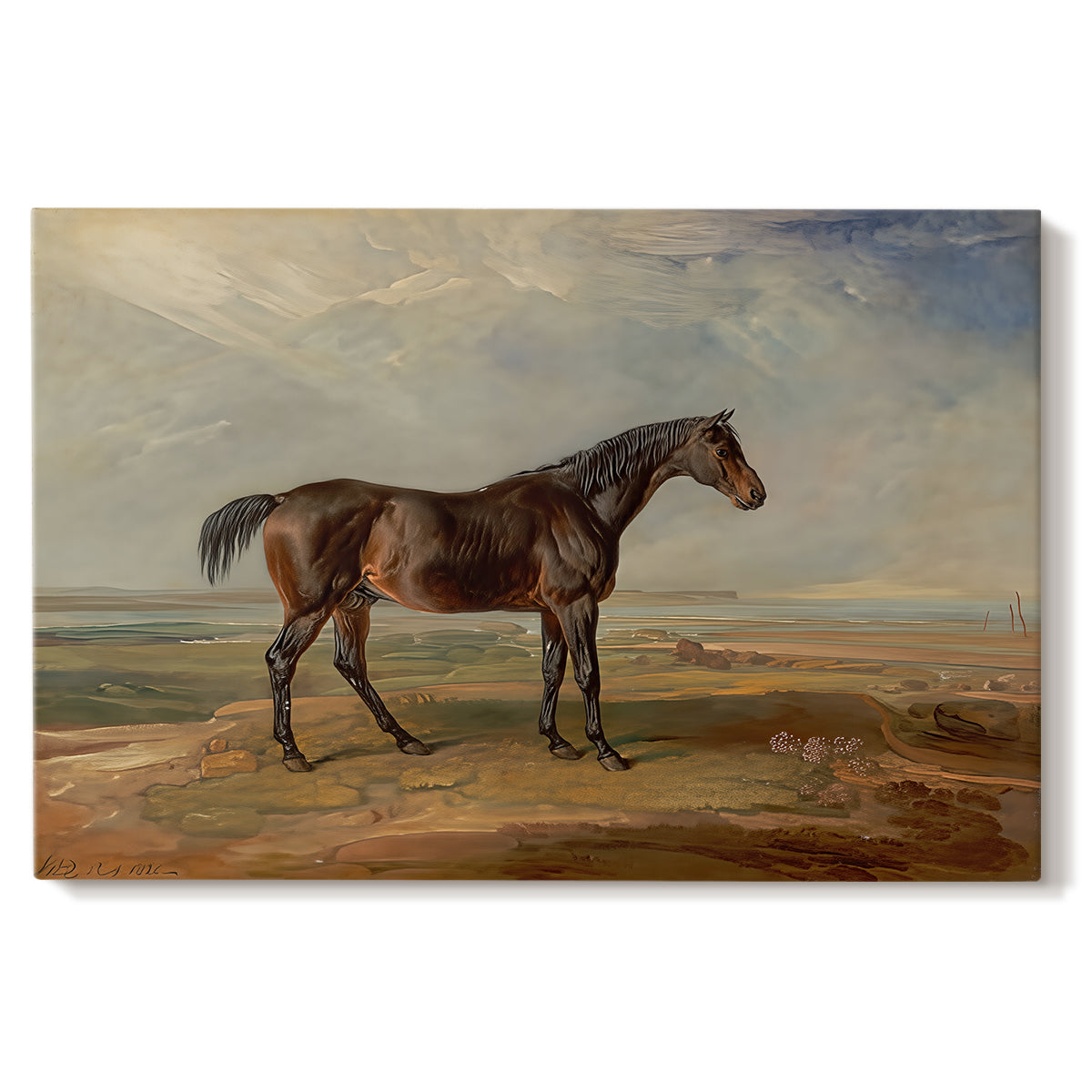 Canvas art print portraying a racehorse standing near coastal landscape with distant water, set against a white background