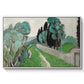 Landscape with Cypresses and Olive Trees near Nice, c. 1918 - Floater Framed Canvas Print