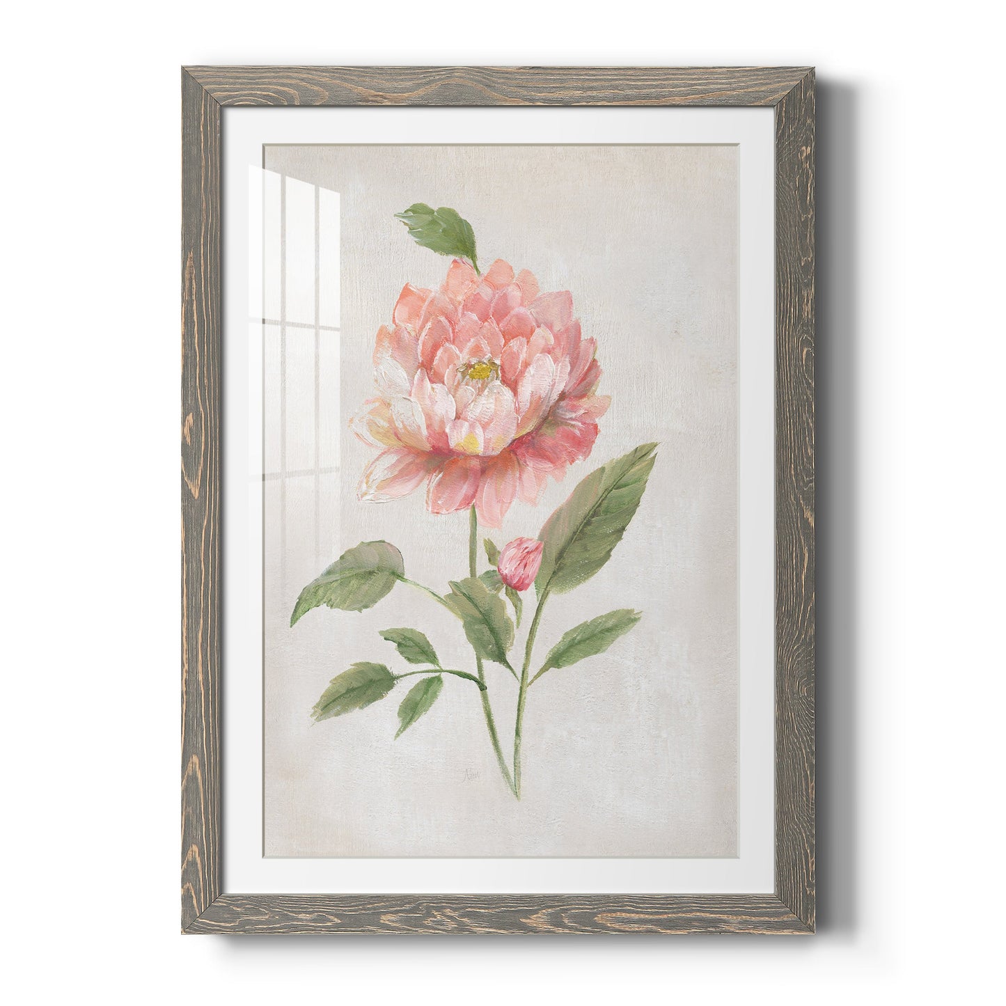 Grandiflora III - Premium Framed Print - Distressed Barnwood Frame - Ready to Hang