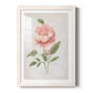 Grandiflora III - Premium Framed Print - Distressed Barnwood Frame - Ready to Hang