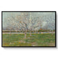 Orchard in Blossom (Plum Trees), 1888 - Floater Framed Canvas Print