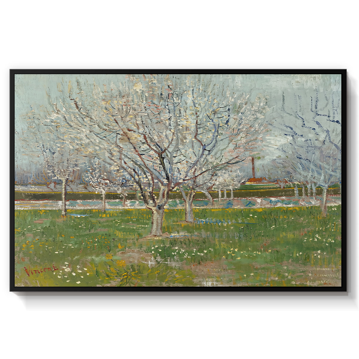 Orchard in Blossom (Plum Trees), 1888 - Floater Framed Canvas Print