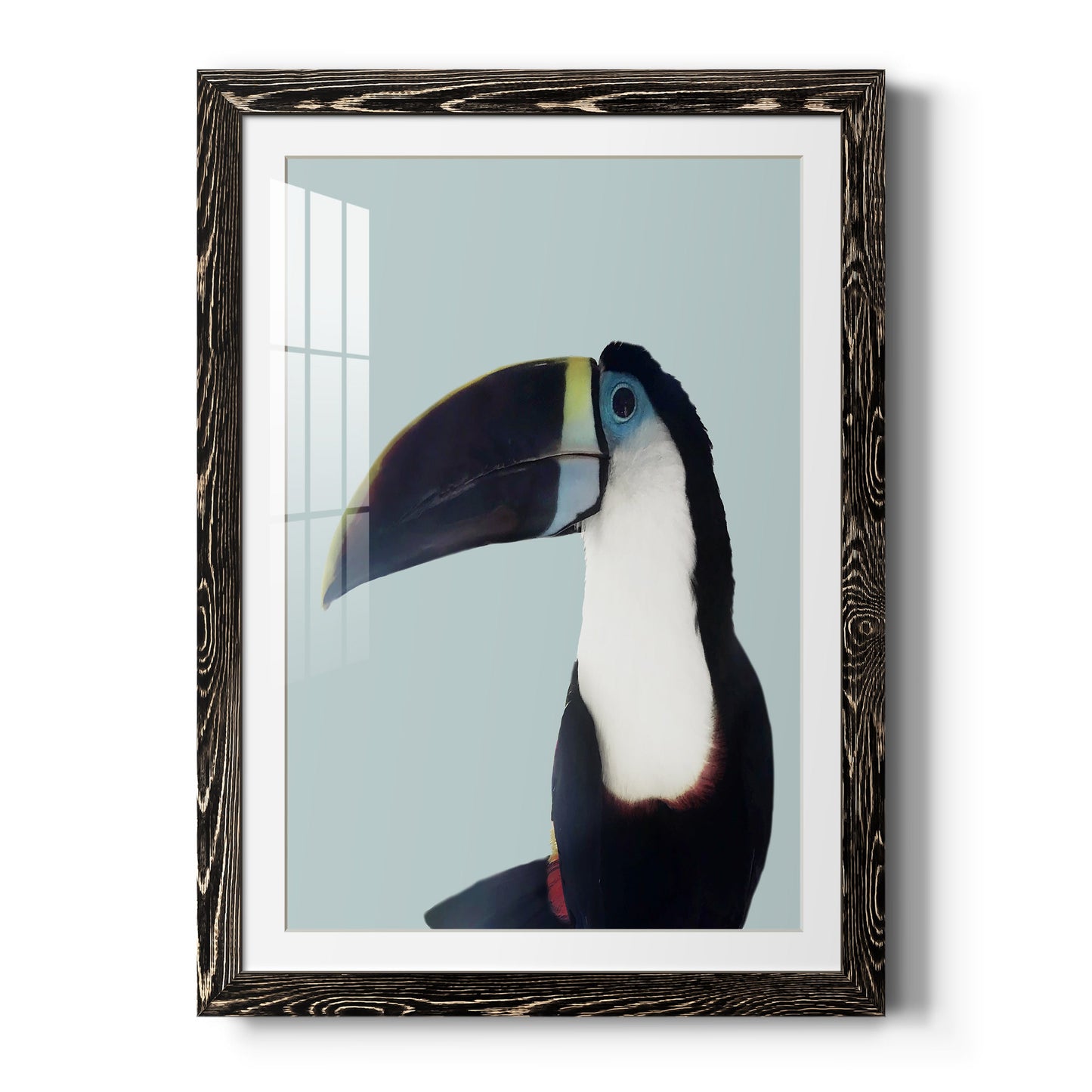 Aruba Wildlife - Premium Framed Print - Distressed Barnwood Frame - Ready to Hang