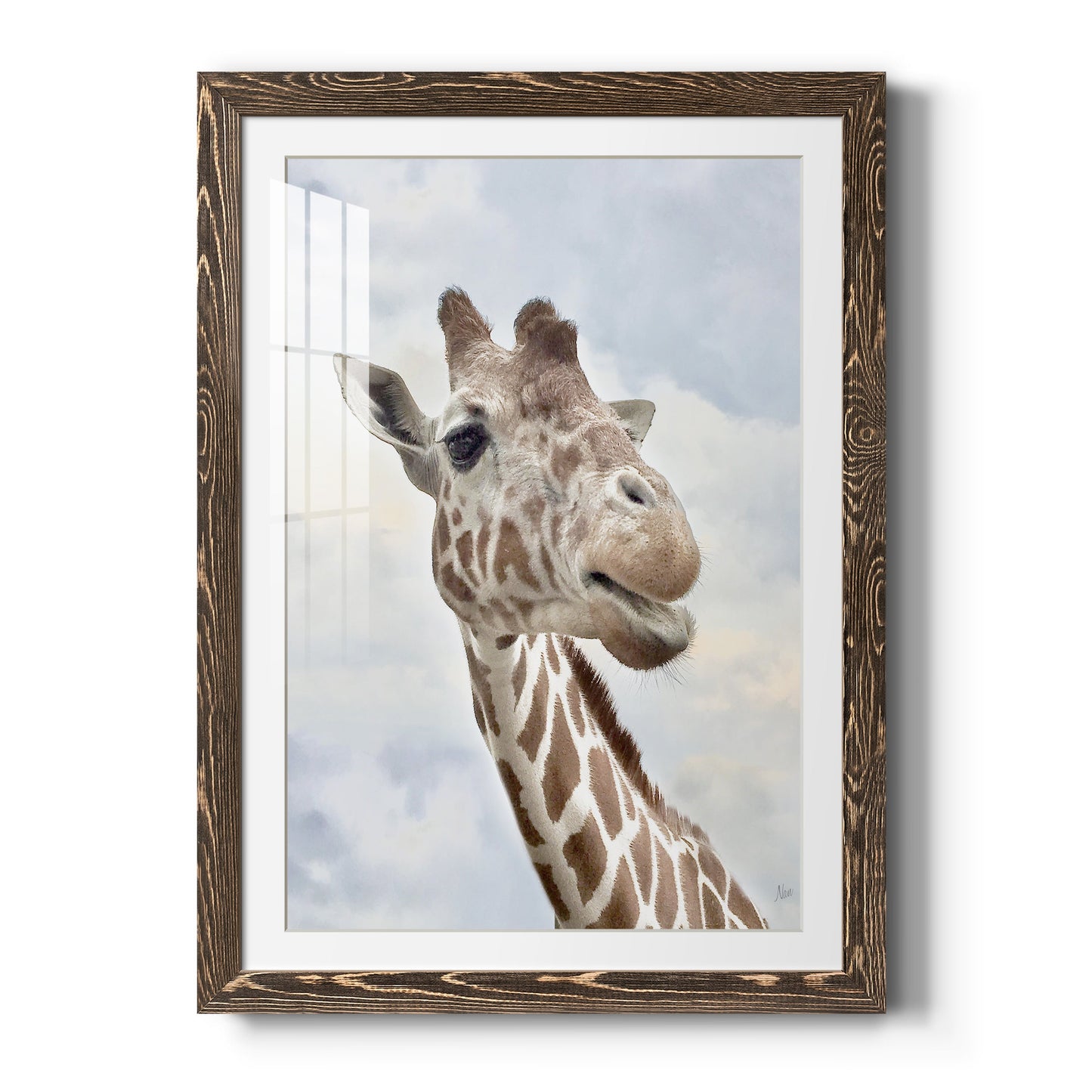 Smiley - Premium Framed Print - Distressed Barnwood Frame - Ready to Hang