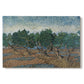 Canvas art print portraying twisting olive trees set within rolling landscape under vibrant sky, set against a white background
