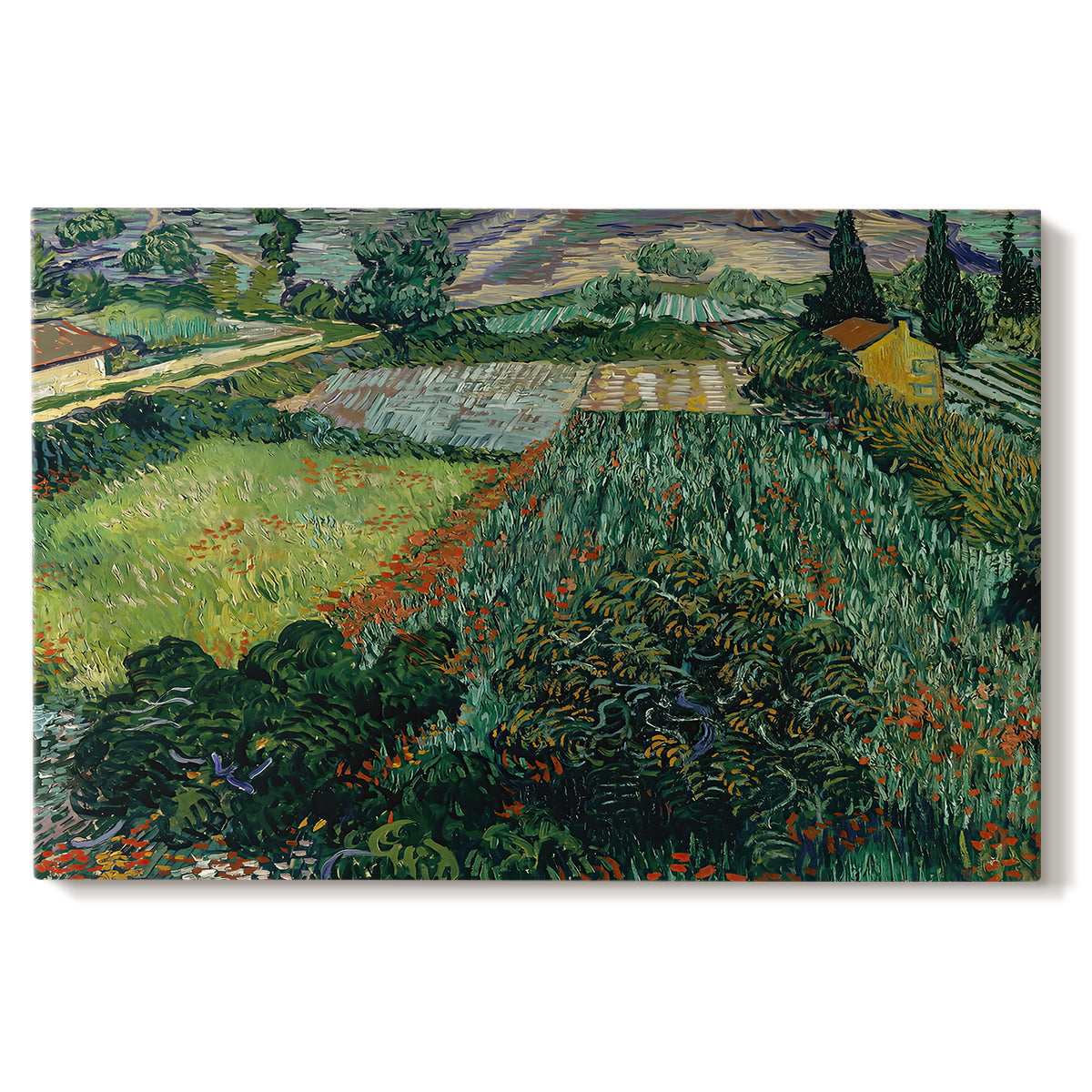 Canvas art print portraying a field dotted with red poppies under bright sky and rolling terrain, set against a white background